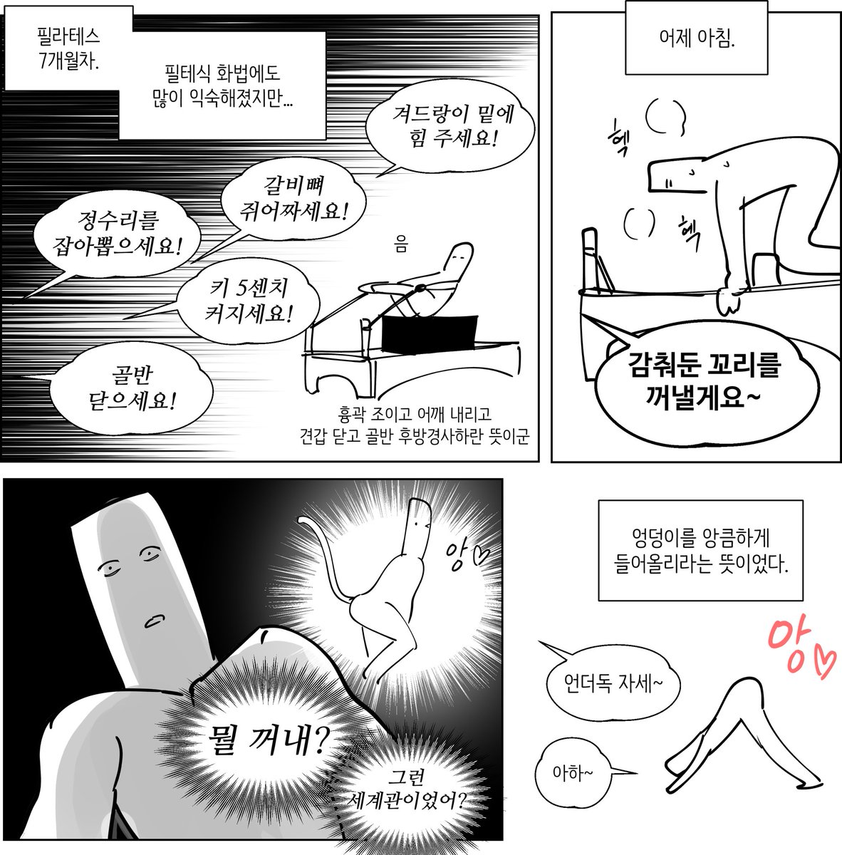 필테식 화법