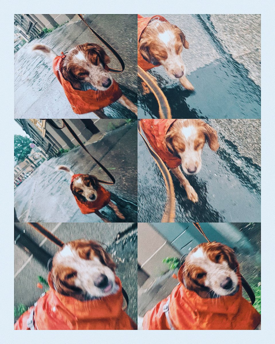 Tiramisu riebjas lietus. Acis ciet, knapi redz, kur iet. (Bet sniegu dievina!)