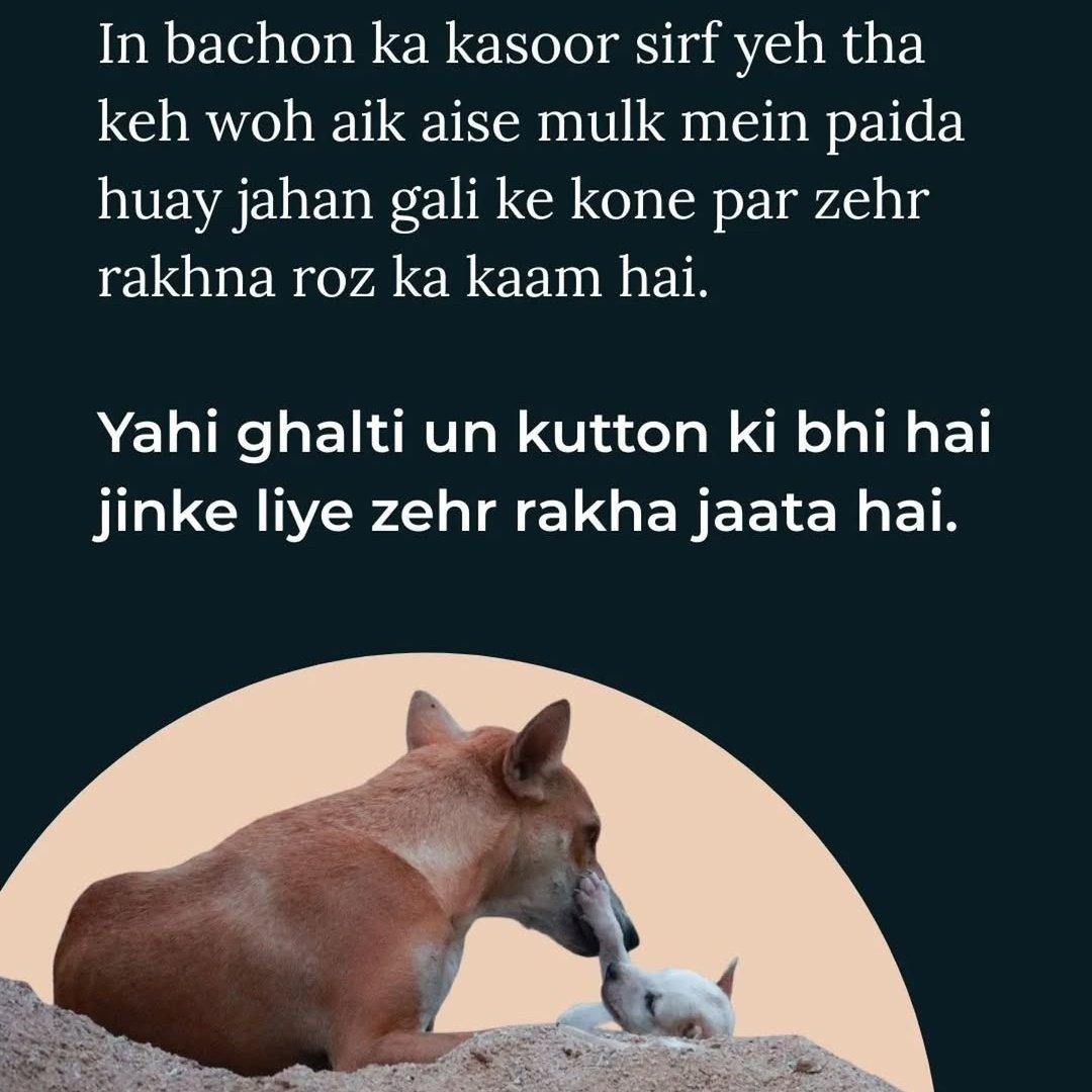 shewolfo2's tweet image. The sins of our fathers have killed us...