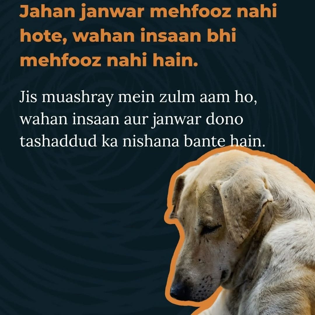 shewolfo2's tweet image. The sins of our fathers have killed us...