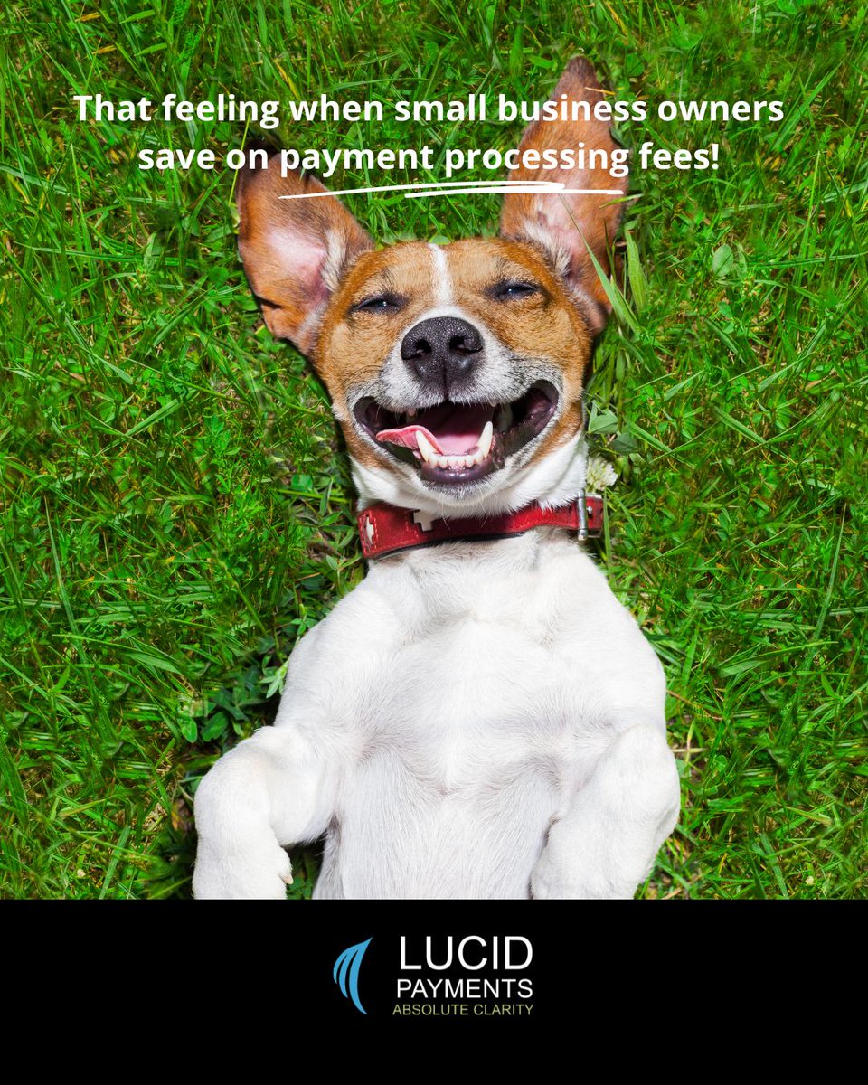 Lucid_Payments's tweet image. That moment when you realize you’ve been overpaying for no reason… and then stop. 😌

Saving on payment processing fees shouldn’t feel rare, but for a lot of small business owners, it kinda does.

Here’s to more of 𝘵𝘩𝘢𝘵 feeling. 🙌

#businesssolutions #paymentprocessing