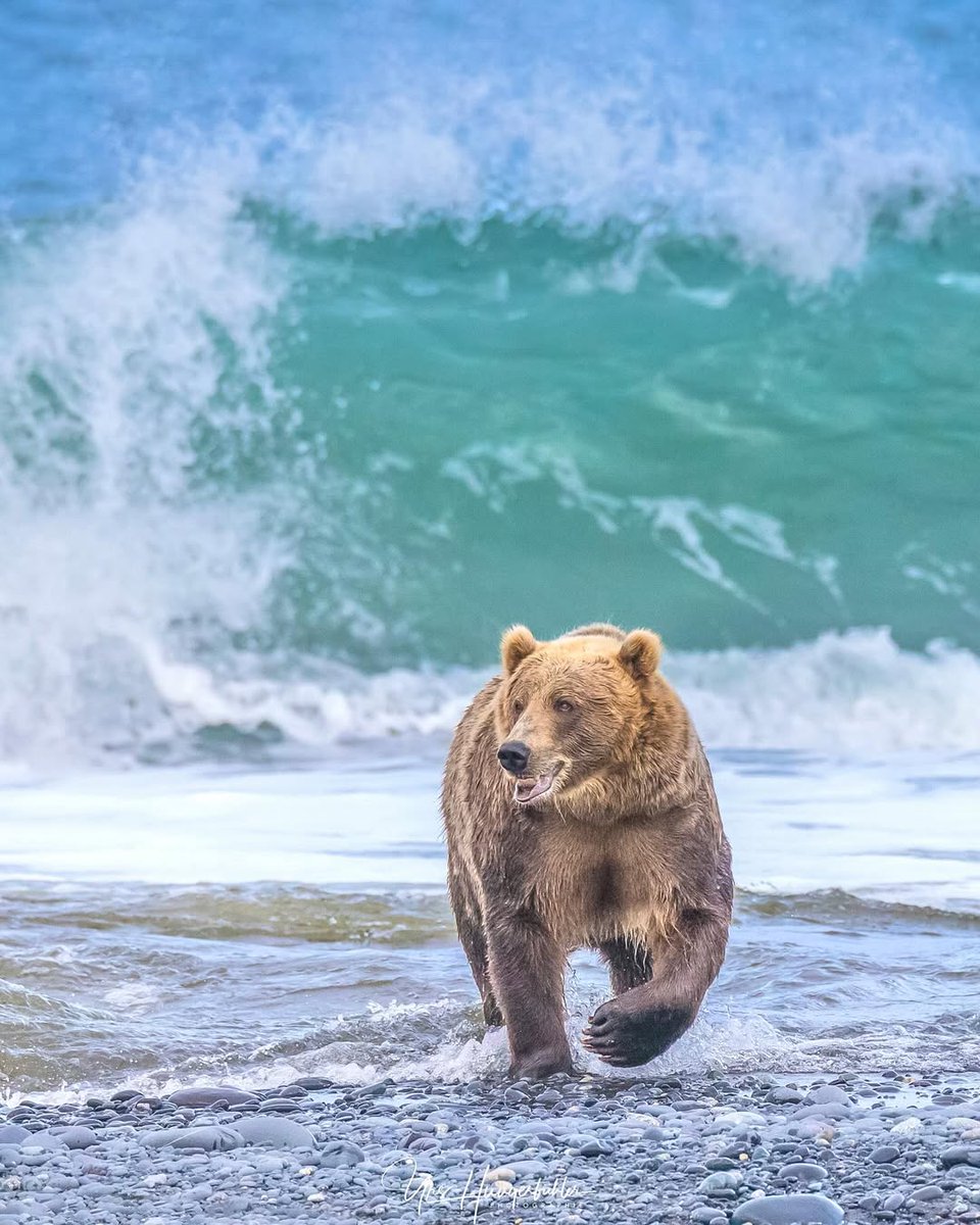 🌴 Vagrant 🌴 (@vagranttravels) on Twitter photo 