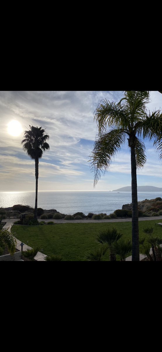 DaviddDenniss's tweet image. Goodnight…💙🩵💙🌴🐬