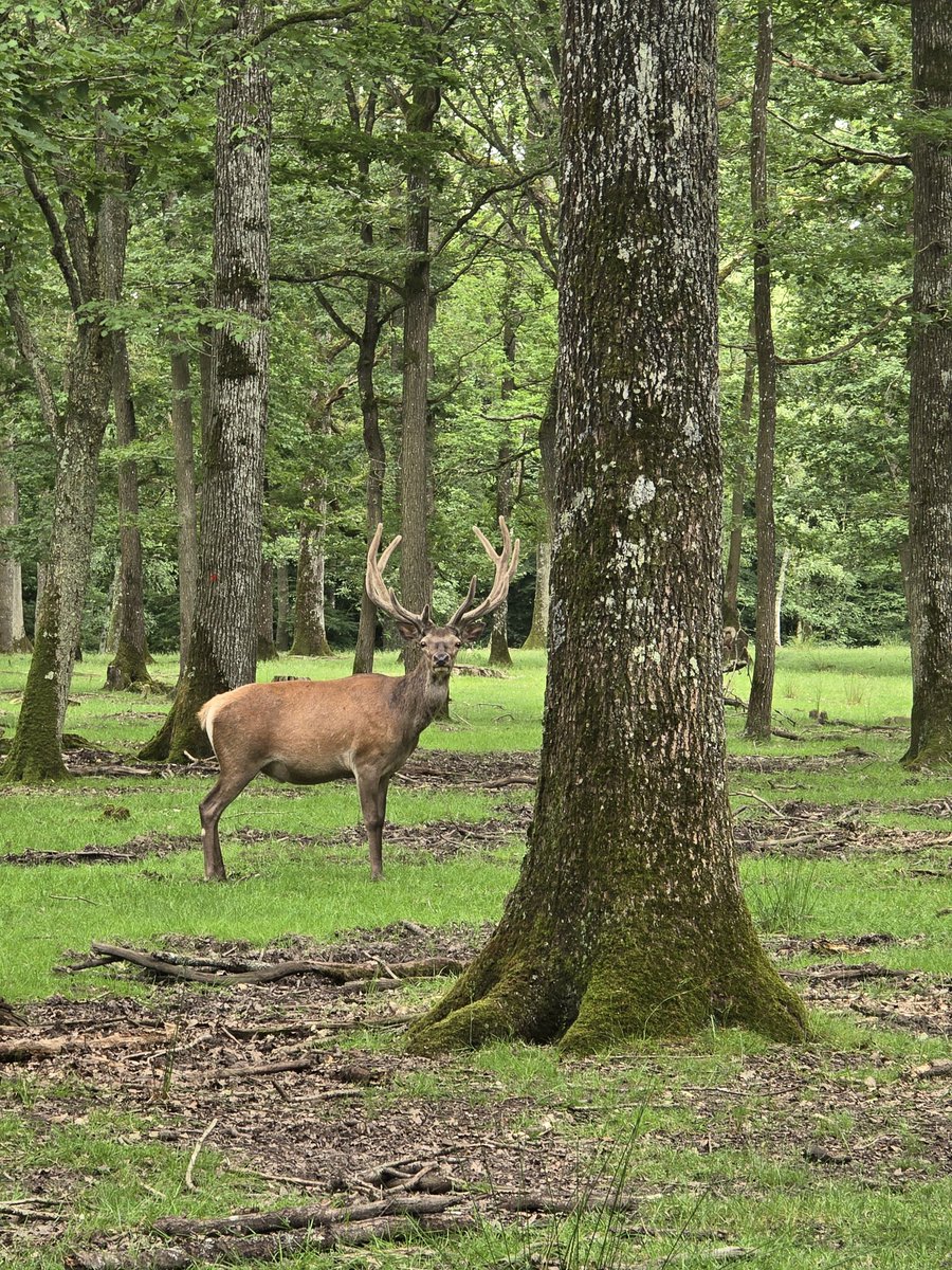 Bonjour, très belle journée