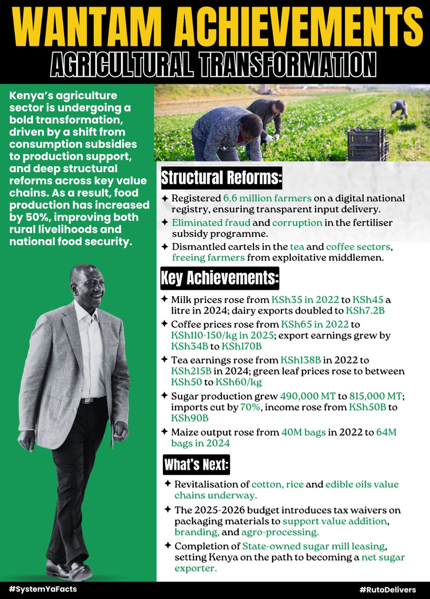 Coffee farmers celebrate as prices rise to KSh110-150/kg, with exports earning KSh170B. Tea earnings hit KSh215B. #WantamAchievements in agriculture prove Ruto Delivers Results You Can See for farmers