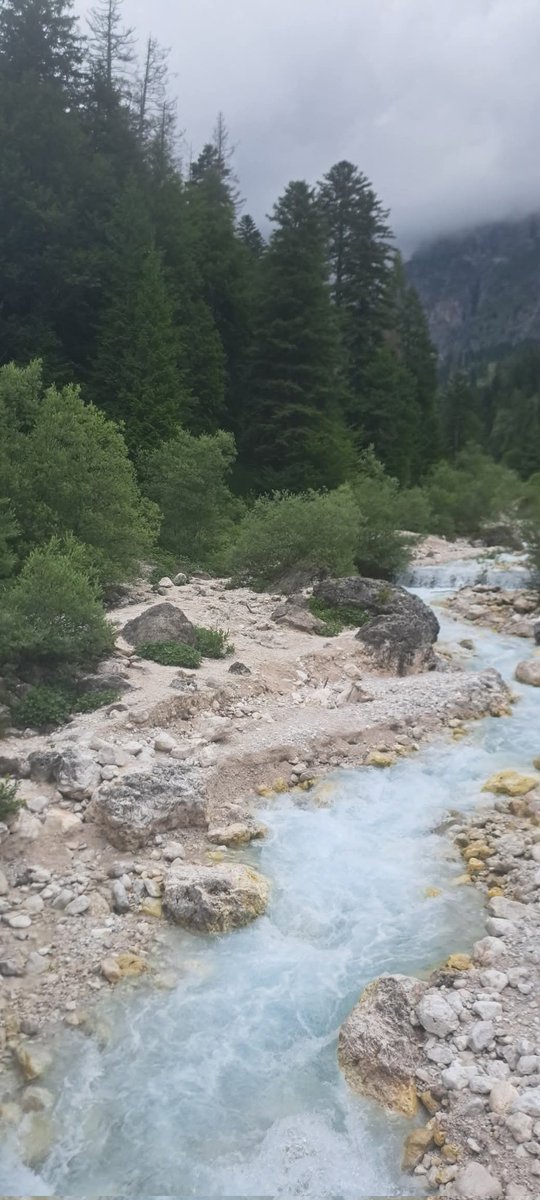 <a href="/VentagliP/">VentagliDiParole </a> ...buon giovedì, Paola. 👋🌺☕️☀️⚘️

- San Martino di Castrozza - #LuoghiDEstate 

- ph Clark