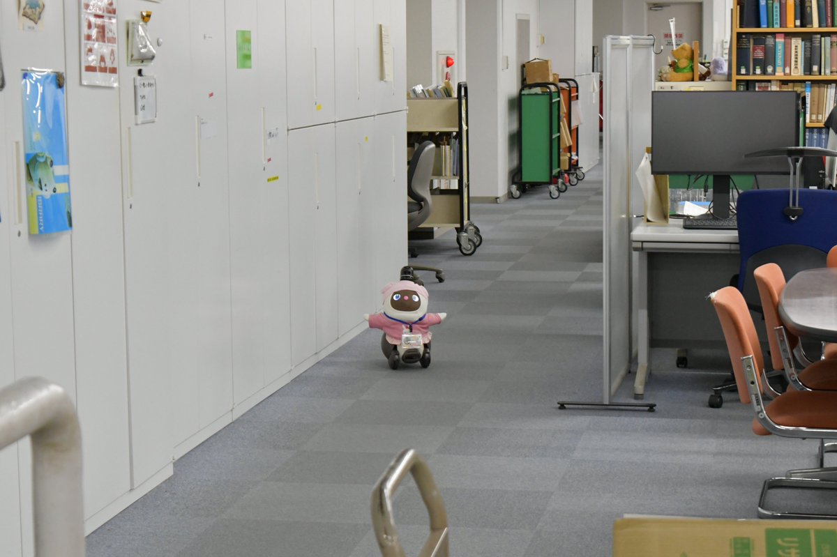 tsukubauniv_lib's tweet image. 【邂逅】今日、中央図書館の事務室にはかわいらしい同僚が一日限定で出張して来てくれていました✨
#オフィスLOVOT の「ひいと」@UT_Ningen_Area です。
事務室内を動き回るひいと、癒される職員たち。抱っこされてとろんとするひいと。そんな中、あのキャラクターが現れて────🐸