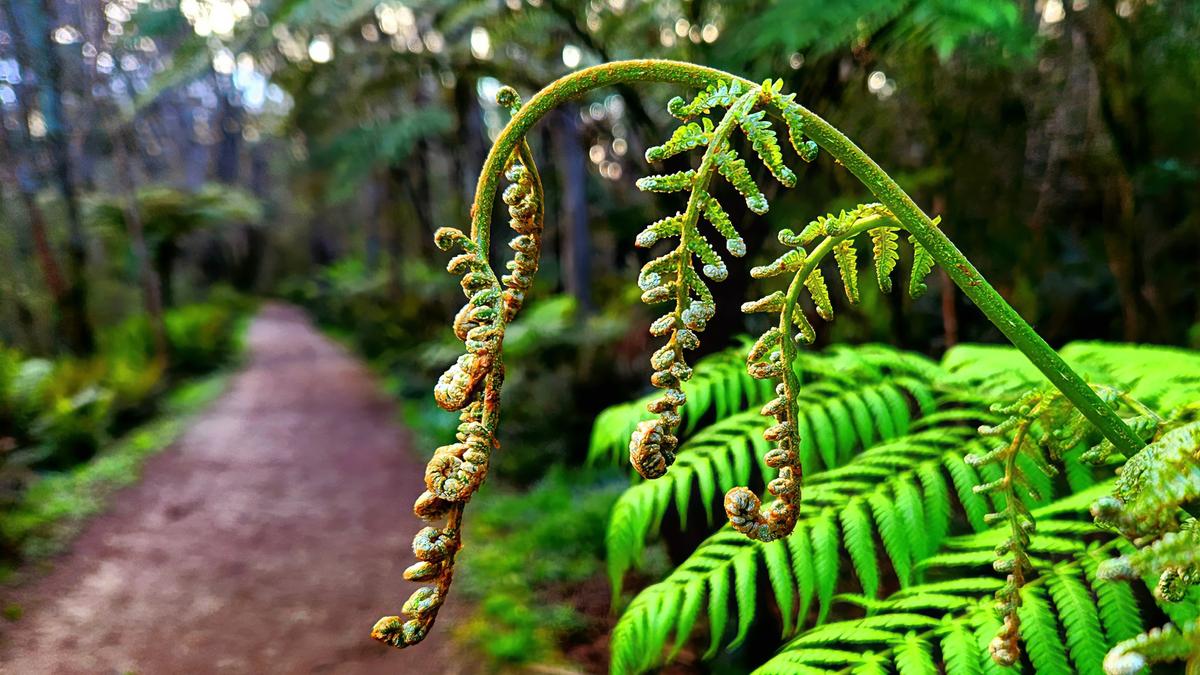 Don't miss this beautiful OE by wonderful <a href="/MrBayne_0/">Bayne</a> 🔥📷
I love it 😍
Available for 2 days 💥

On <a href="/SkurpySocial/">Skurpy</a>

skurpy.com/marketplace/co…