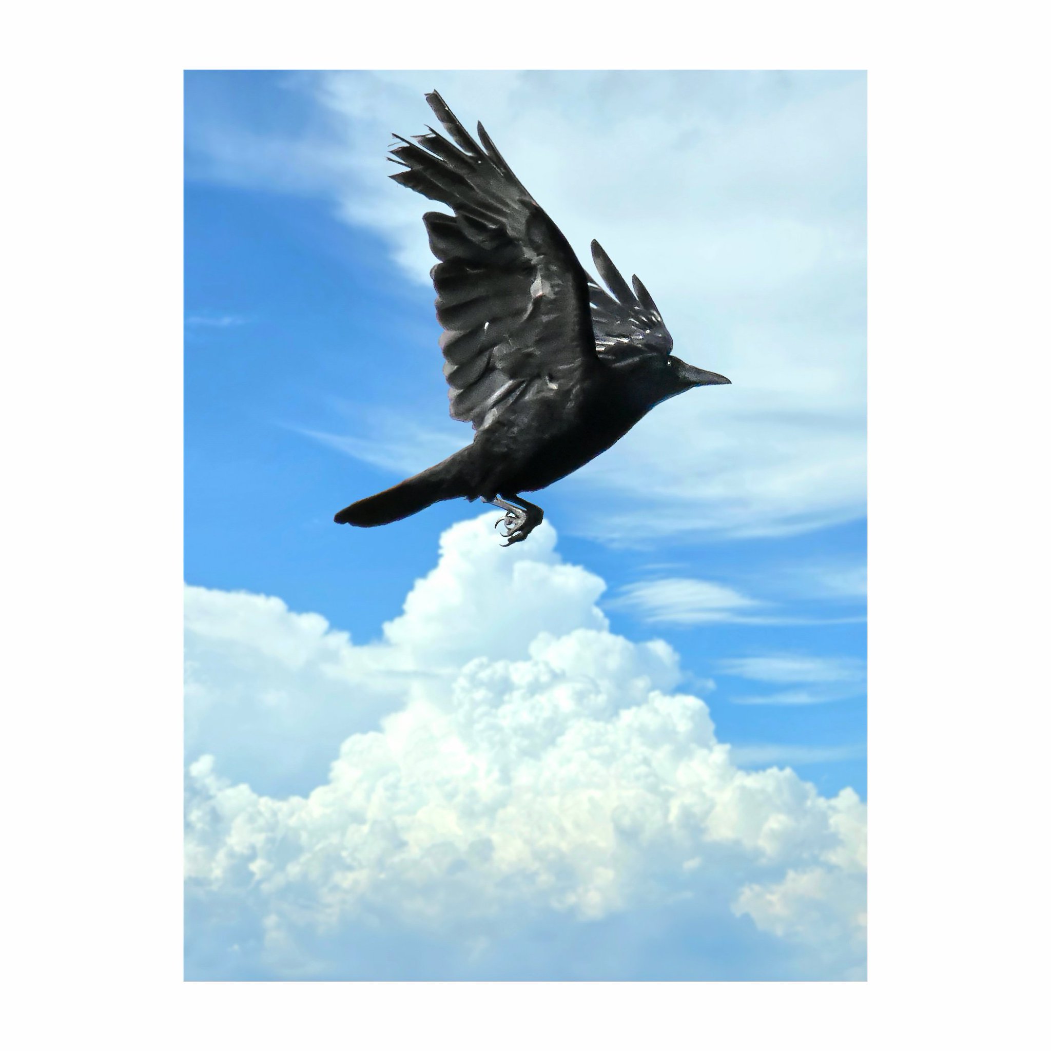 【As the Crow Flies】Terri Weifenbach新品未読品 Certain Days | Terri Weifenbach | SO BOOKS