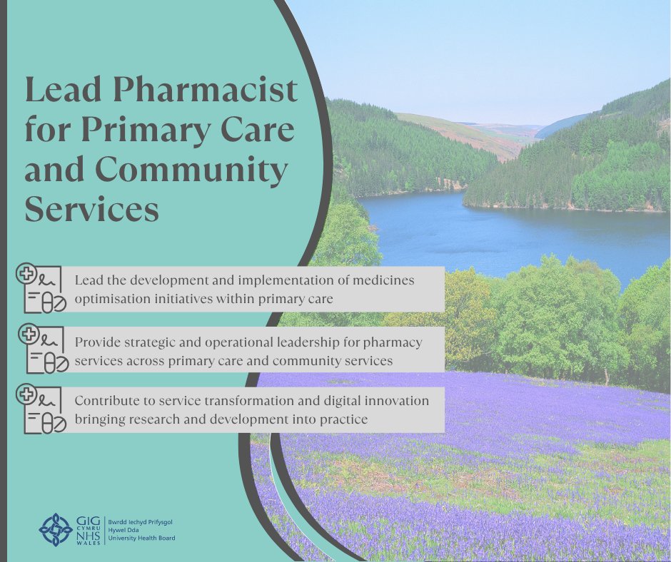 SwyddiHDdaJobs's tweet image. ** Lead Pharmacist for Primary Care and Community Services **

🔸Provide strategic and operational leadership for pharmacy services across primary care and community services

Can you come make a difference?

hduhb.nhs.wales/working-for-us…