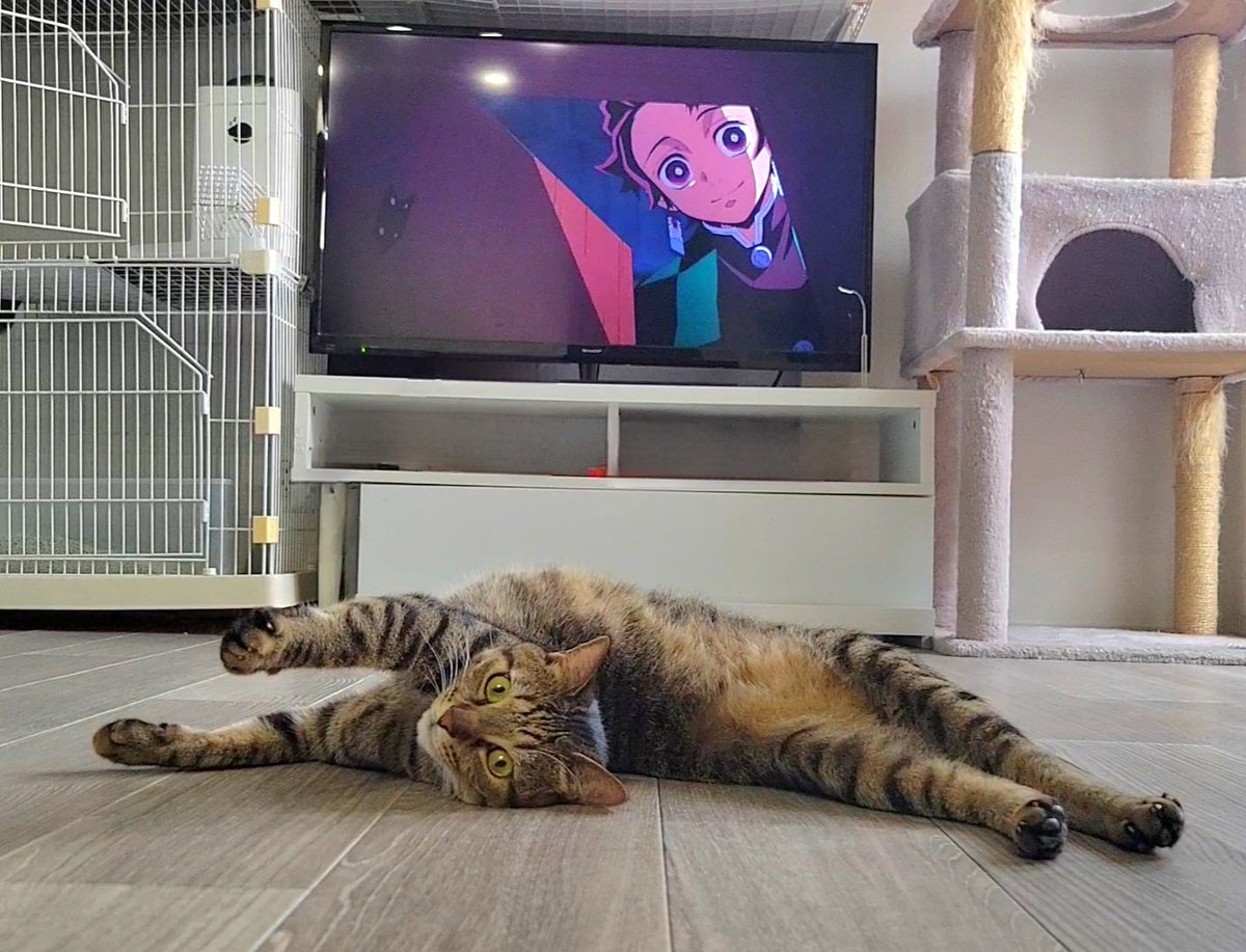 chipie0826's tweet image. 世間では鬼滅の映画が流行っているのでおうちで復習〜