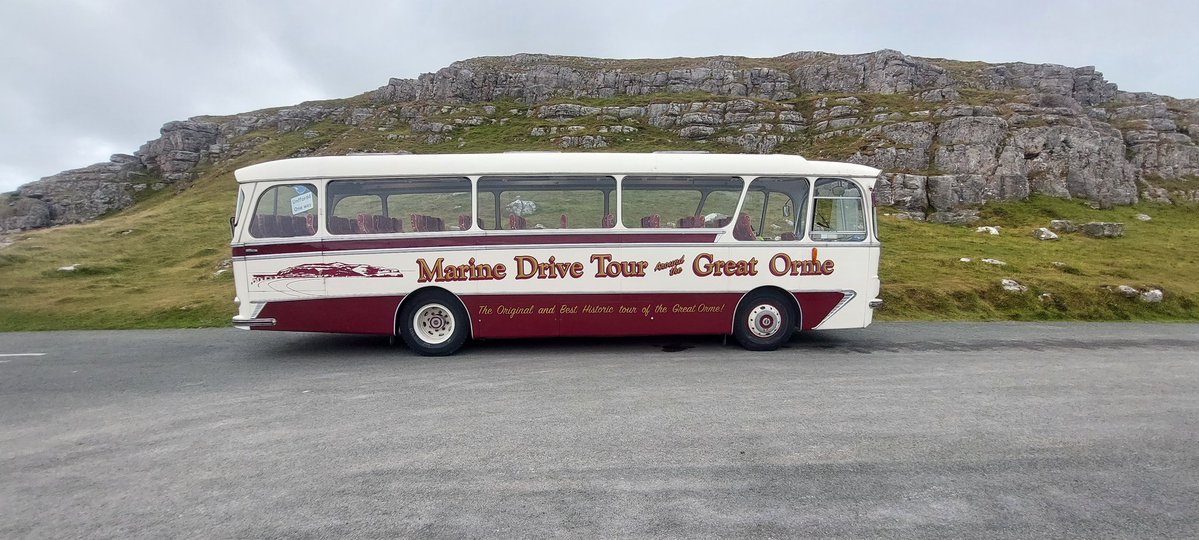 rhino_on_rails's tweet image. Tour Around the Great Orme