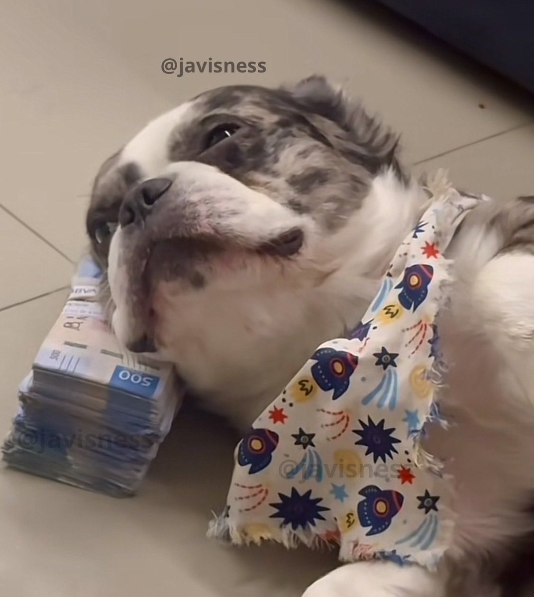 Javisness's tweet photo. Que necesitas para dormir tranquilo?

Yo: https://t.co/7mcfm31YcQ