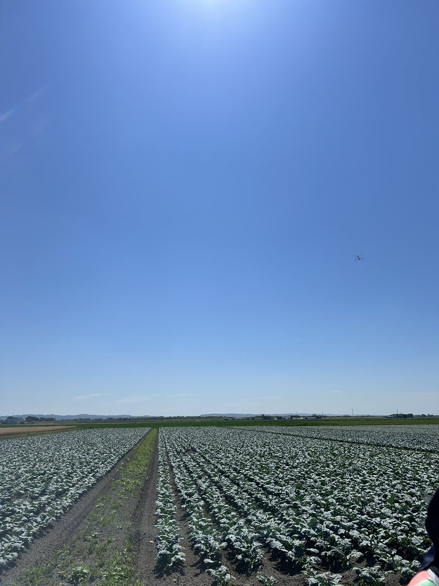 10yu16ma's tweet photo. 10時で34℃の北海道 https://t.co/OIJydUaEeP