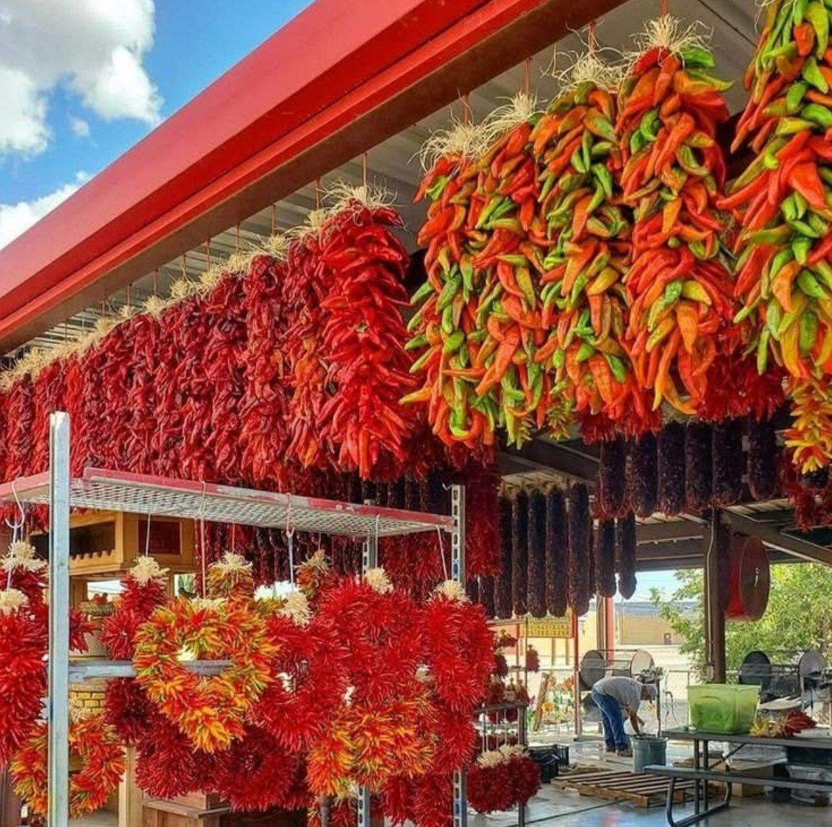 BirminghamRay's tweet image. New Mexico has unique beauty!