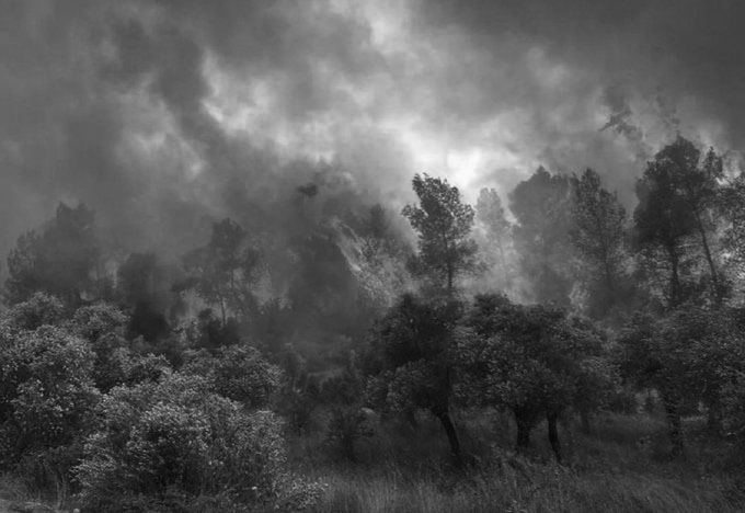 🇹🇷 Eskişehir Seyitgazi'deki orman yangınına müdahale eden 10 vatan evladının şehit düştüğü haberini büyük bir üzüntüyle öğrendik. Memleketimizin ciğerleri yanmasın diye kendi canlarından vazgeçen kahramanların ruhları şad, mekanları cennet olsun. #eskişehir #ormanyangını