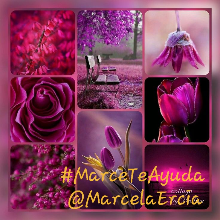 🕉MARCE🐉⚖ #MarceTeAyuda🔮#MarceLive🔄 Meme y Popi (@marcelaercia) on Twitter photo ▼𝑳𝒆𝒕'𝒔 𝑮𝒓𝒐𝒘 𝑻𝒐𝒈𝒆𝒕𝒉𝒆𝒓 ▼
<a href="/Aa_ban1/">▄︻ #TmGriffins🦅︻▄</a> <a href="/nbea_h/">#𝕾𝖚𝖕𝖊𝖗𝕱𝖗𝖎𝖊𝖓𝖉𝖘 #𝕿𝖔𝖕𝕱𝖗𝖎𝖊𝖓𝖉𝖘</a>
<a href="/7tttJ/">ᘓɹ̇ɹ̤jɺI g͠ᓄɹɹɹ</a> <a href="/Zar_43/">ZARRAR ضرار #ΛᒪBΛЯQ⚡@𝙕𝙖𝙧_𝟰𝟯</a>
🔙<a href="/mrm2181/">مرام</a> <a href="/dreams_Bcn/">૮૨iઽƬiทα #MᥲɾᥴᥱTᥱAყᥙᑯᥲ🔮</a>
<a href="/1_i_1i/">🔥🅰️ 🇩 🅰️ 🇲🔥</a> <a href="/12yck/">🇸🇦🤲🏻ثقتي بالله تامه🤲🏻🇸🇦</a>
<a href="/b_z_zl/">🇾🇪ابومحمد🇵🇸(مقيدلاتلغي)</a> <a href="/fg2g3/">الزعيم أبو أحمد 💙🤍</a>
<a href="/_Irishpatriot/">Dave Field</a>
<a href="/Ghi1D/">David Antos</a> <a href="/Krklm/">𝓗𝓪𝓴𝓪𝓷</a>
<a href="/lm_zky/">🔥💥nor💥🔥</a> <a href="/nor3rh/">💎Nor elrhman💎</a>
<a href="/nor4rh/">💥Nor elrhman💥</a> <a href="/mirl00/">Miral</a>
<a href="/Mrk4786/"> 𝐌𝐨𝐧𝐮(◕‿-)✌</a> <a href="/Ghz97/">✪𝗚𝖍𝖆𝖟𝖆𝖑𝖆𝖍 𝗦𝖆𝖉𝖆𝖋✪</a>
<a href="/Najj_13/">نجيب</a> <a href="/lrllrl01/">الـرحـال الـشعيبي❤️🔥</a>
<a href="/Mo2__f/">مثـ⸙²͢⁰͢²5ـنــى⸙ᘓ᭄ᵛ͢⍣⃝</a> <a href="/IK151/">𝕊ʜᴇʀᴅɪʟ 🇵🇰 IK</a>
<a href="/1Mahii1/">*•.¸♡𝖬𝖺𝗁𝗂 𝖬𝖺𝗅𝗂𝗄♡¸.•*</a> <a href="/2alyaat/">🕊️ عليــاء🕊️</a>
<a href="/Ahm_zy/">𝓐𝓱𝓶𝓮𝓭أحمد✪</a> <a href="/V13lula/">Karen Lúcia♀️🚩🌵</a> ▼𝑳𝒆𝒕'𝒔 𝑮𝒓𝒐𝒘 𝑻𝒐𝒈𝒆𝒕𝒉𝒆𝒓 ▼
<a href="/Aa_ban1/">▄︻ #TmGriffins🦅︻▄</a> <a href="/nbea_h/">#𝕾𝖚𝖕𝖊𝖗𝕱𝖗𝖎𝖊𝖓𝖉𝖘 #𝕿𝖔𝖕𝕱𝖗𝖎𝖊𝖓𝖉𝖘</a>
<a href="/7tttJ/">ᘓɹ̇ɹ̤jɺI g͠ᓄɹɹɹ</a> <a href="/Zar_43/">ZARRAR ضرار #ΛᒪBΛЯQ⚡@𝙕𝙖𝙧_𝟰𝟯</a>
🔙<a href="/mrm2181/">مرام</a> <a href="/dreams_Bcn/">૮૨iઽƬiทα #MᥲɾᥴᥱTᥱAყᥙᑯᥲ🔮</a>
<a href="/1_i_1i/">🔥🅰️ 🇩 🅰️ 🇲🔥</a> <a href="/12yck/">🇸🇦🤲🏻ثقتي بالله تامه🤲🏻🇸🇦</a>
<a href="/b_z_zl/">🇾🇪ابومحمد🇵🇸(مقيدلاتلغي)</a> <a href="/fg2g3/">الزعيم أبو أحمد 💙🤍</a>
<a href="/_Irishpatriot/">Dave Field</a>
<a href="/Ghi1D/">David Antos</a> <a href="/Krklm/">𝓗𝓪𝓴𝓪𝓷</a>
<a href="/lm_zky/">🔥💥nor💥🔥</a> <a href="/nor3rh/">💎Nor elrhman💎</a>
<a href="/nor4rh/">💥Nor elrhman💥</a> <a href="/mirl00/">Miral</a>
<a href="/Mrk4786/"> 𝐌𝐨𝐧𝐮(◕‿-)✌</a> <a href="/Ghz97/">✪𝗚𝖍𝖆𝖟𝖆𝖑𝖆𝖍 𝗦𝖆𝖉𝖆𝖋✪</a>
<a href="/Najj_13/">نجيب</a> <a href="/lrllrl01/">الـرحـال الـشعيبي❤️🔥</a>
<a href="/Mo2__f/">مثـ⸙²͢⁰͢²5ـنــى⸙ᘓ᭄ᵛ͢⍣⃝</a> <a href="/IK151/">𝕊ʜᴇʀᴅɪʟ 🇵🇰 IK</a>
<a href="/1Mahii1/">*•.¸♡𝖬𝖺𝗁𝗂 𝖬𝖺𝗅𝗂𝗄♡¸.•*</a> <a href="/2alyaat/">🕊️ عليــاء🕊️</a>
<a href="/Ahm_zy/">𝓐𝓱𝓶𝓮𝓭أحمد✪</a> <a href="/V13lula/">Karen Lúcia♀️🚩🌵</a>