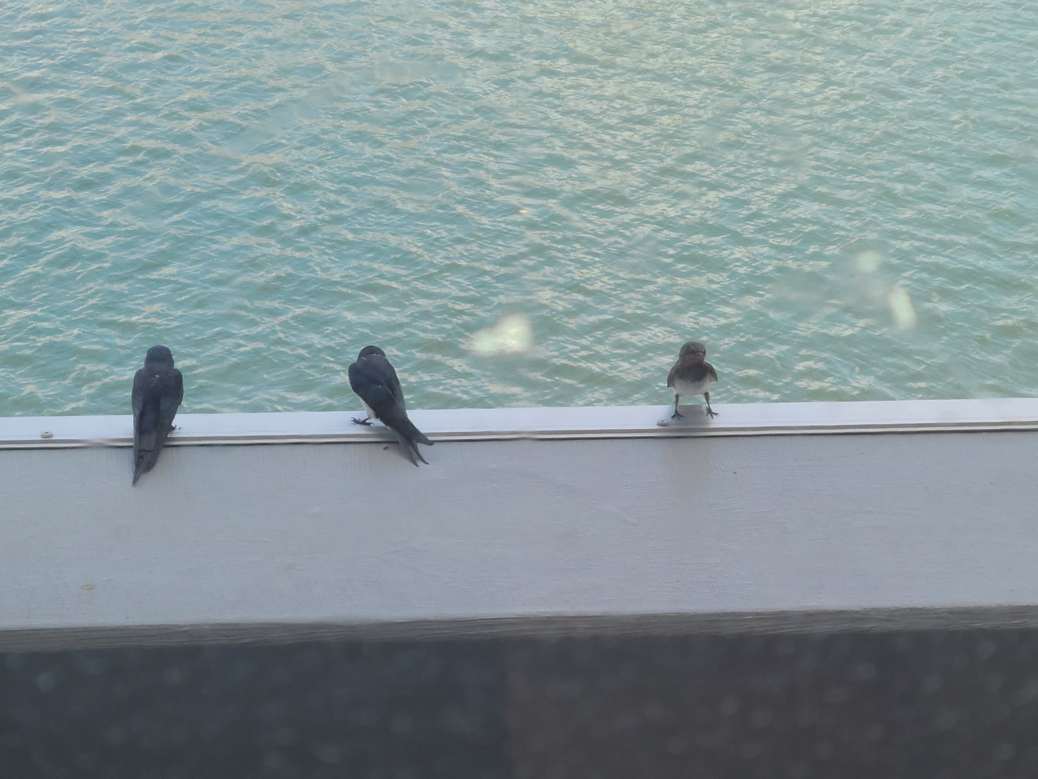 能登半島地震】石川県穴水町｜公式 (@anamizu_town) / X