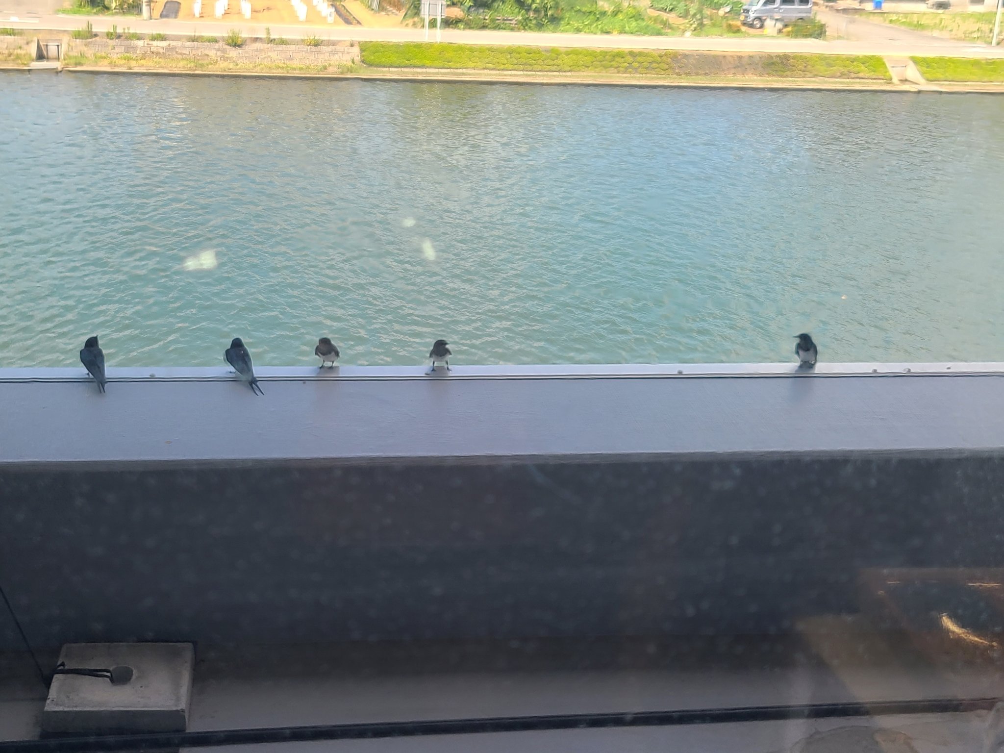 能登穴水様 能登半島地震】石川県穴水町｜公式 (@anamizu_town) / X