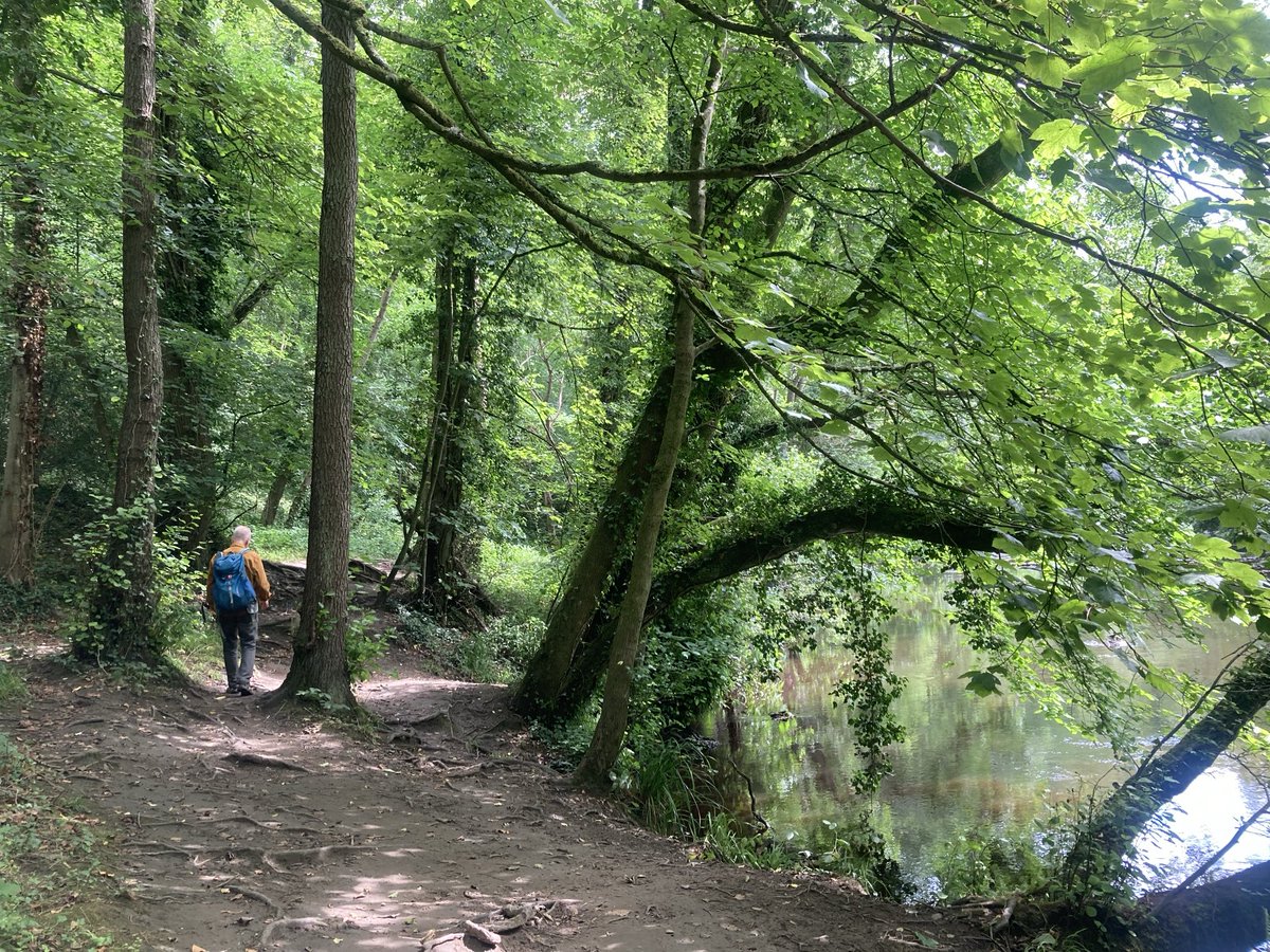doristhehat's tweet image. Good morning everyone wishing you a lovely day 馃榾this week鈥檚 wonderful walking along the beautiful River Nidd towards Knaresborough 馃挌