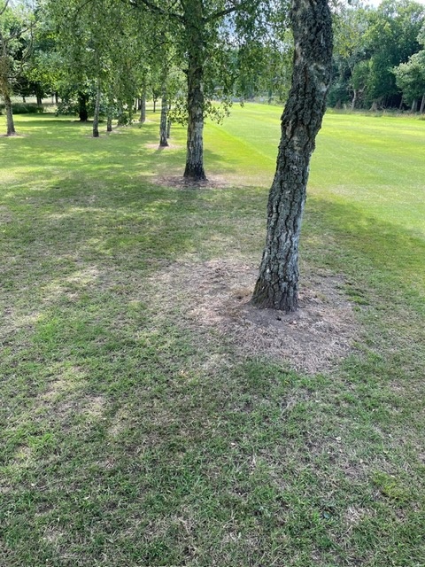 Managing weeds around tree bases reduces competition for water and nutrients.

We are using Cikara glyphosate to manage weed growth around tree bases effectively. Contact us for further information.

#Amenities #GroundsMaintenance #WeedControl