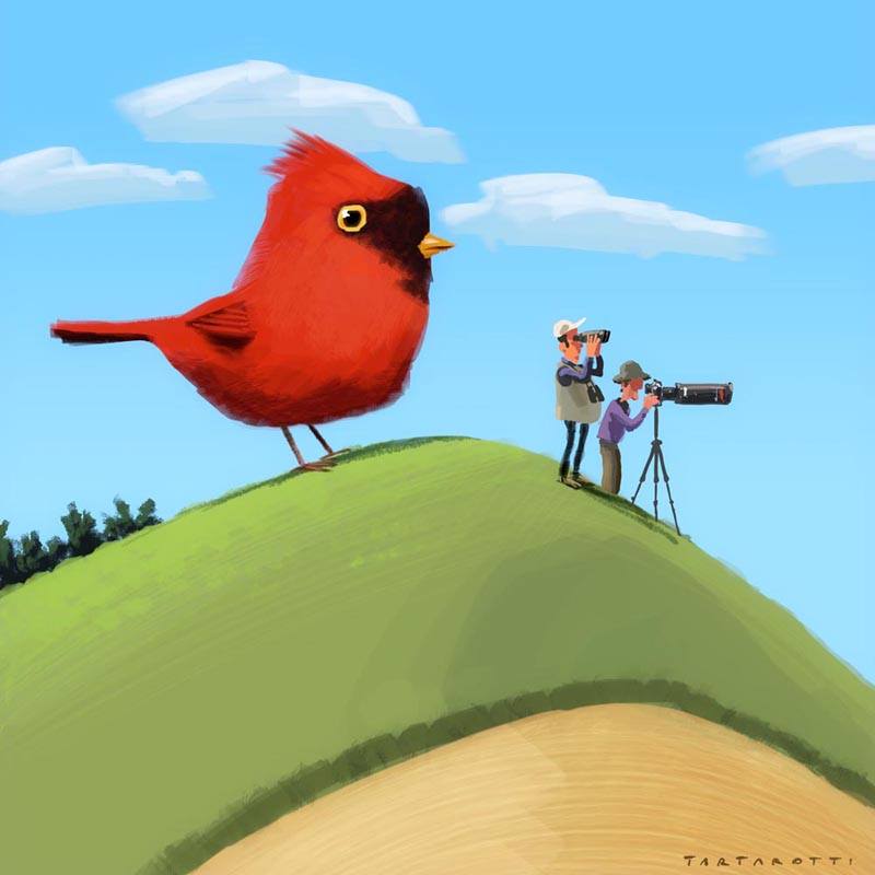 tartaro7's tweet image. Birdwatchers
#speedpaint #schizzi #colore #vedoqualcosalaggiù #birdwatchers #uccelli #illustration #childrenbook
