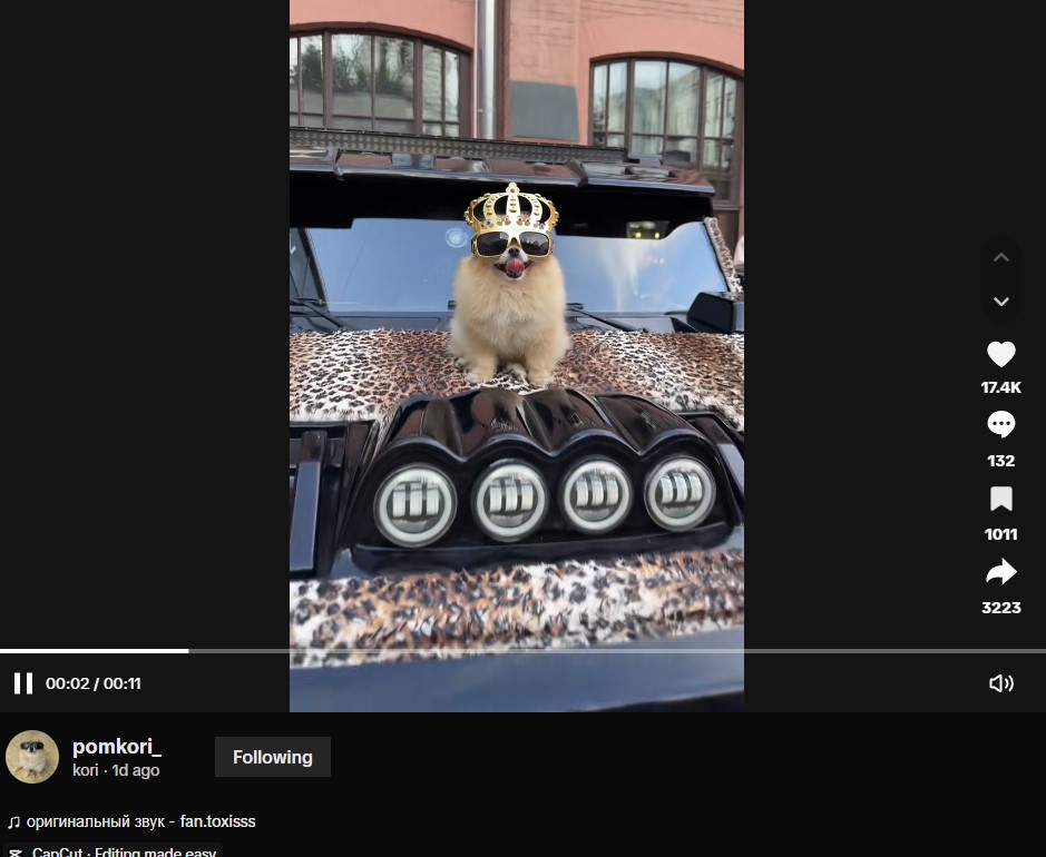 LeoBraScor's tweet image. There are so many things happening around this bull market. Flywheel, ICM rally, conviction returns and new era of competition for the market on SOL.
What surprised is that there is only dog who is a real TikTok star. She already has advertised for businesses.
That is $KORI
