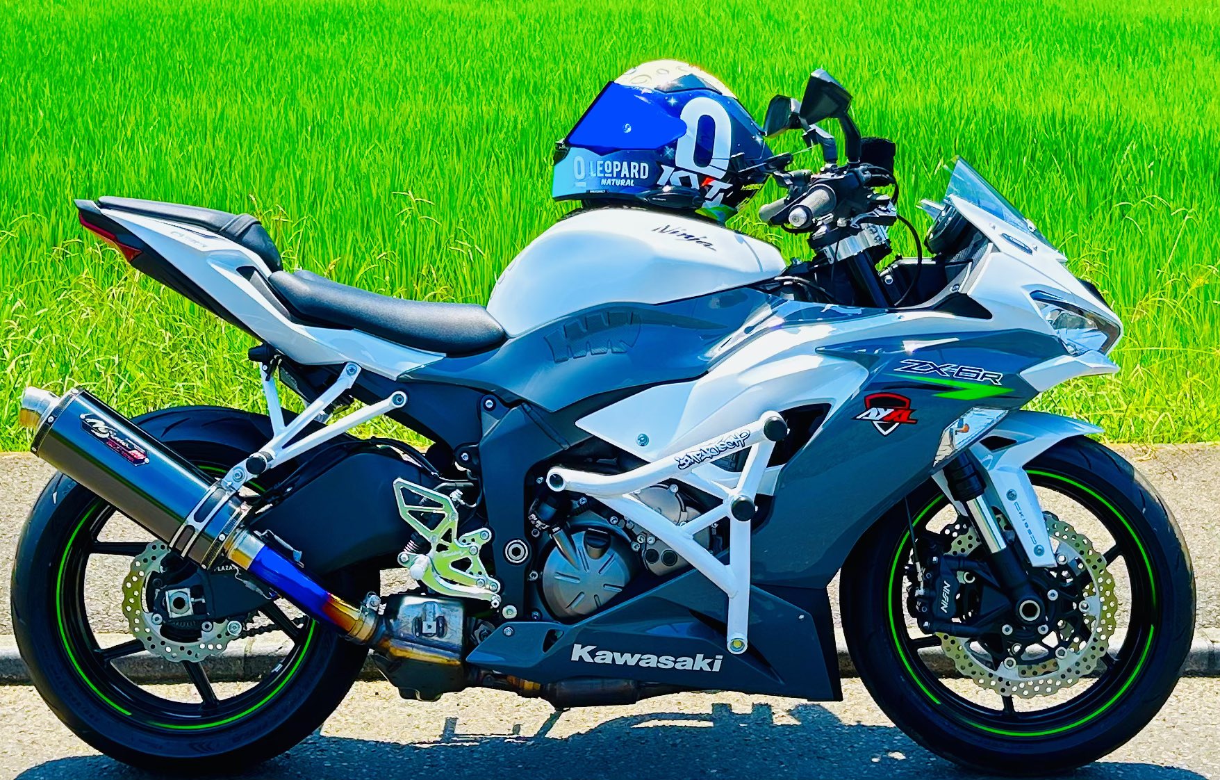 ぶんぶん ホンダ ライブディオZX仕様 （ライブディオZX/ホンダ ライブ