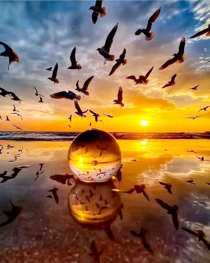 Gypsyforfreedom's tweet image. "The moment you doubt whether you can fly, you cease forever to be able to do it."
~J. M. Barrie,
'Peter Pan'