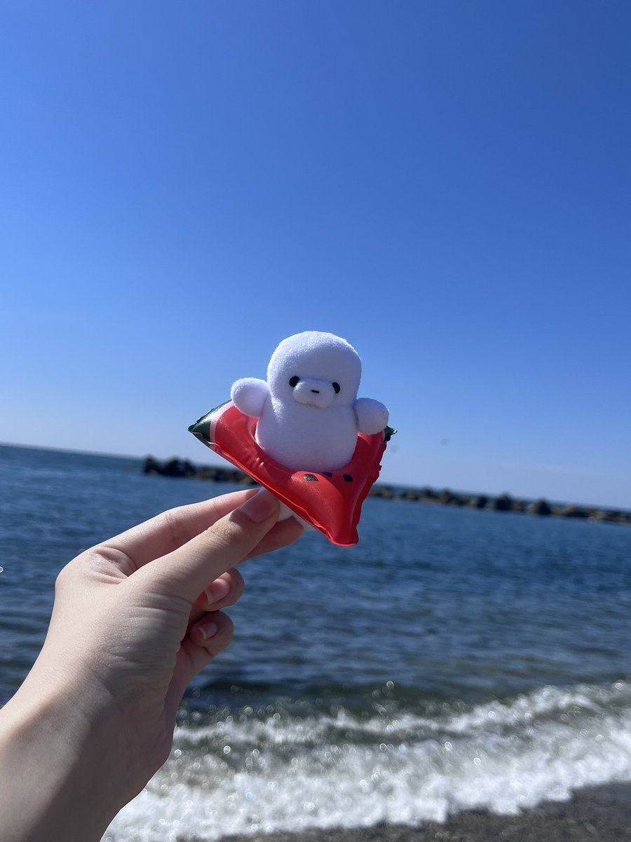 mimmm97's tweet image. アザラシの為に海に行って来た…( ᐛ )＜ ﾄｹﾀ