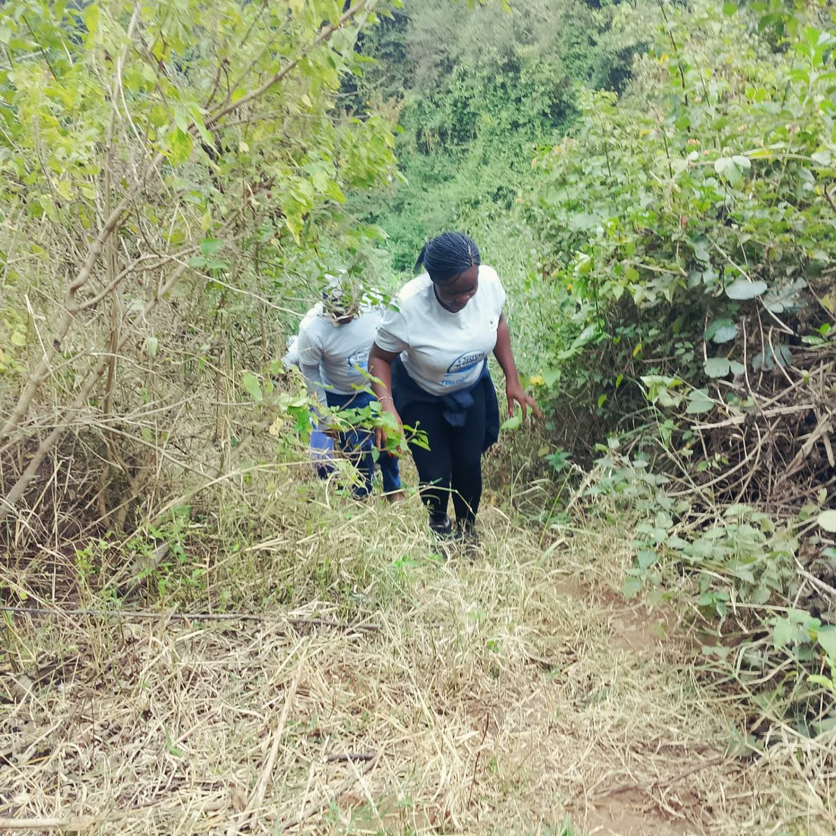 WashKisumu's tweet image. Day 1: #JourneyofWater begins! River Kimengelia flows from Rongai, TZ to Oloitoktok, KE. @WWF_Kenya & @WWFTANZANIA unite communities to protect our shared catchments. Collective action, no borders! On to Day 2! #Voices4Rivers #Catchment2Tap