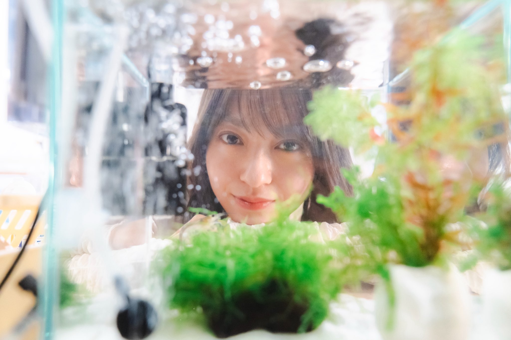 あちゃみ様 🌳あちゃみ🍓🍫 (@AchaachaBud) / X