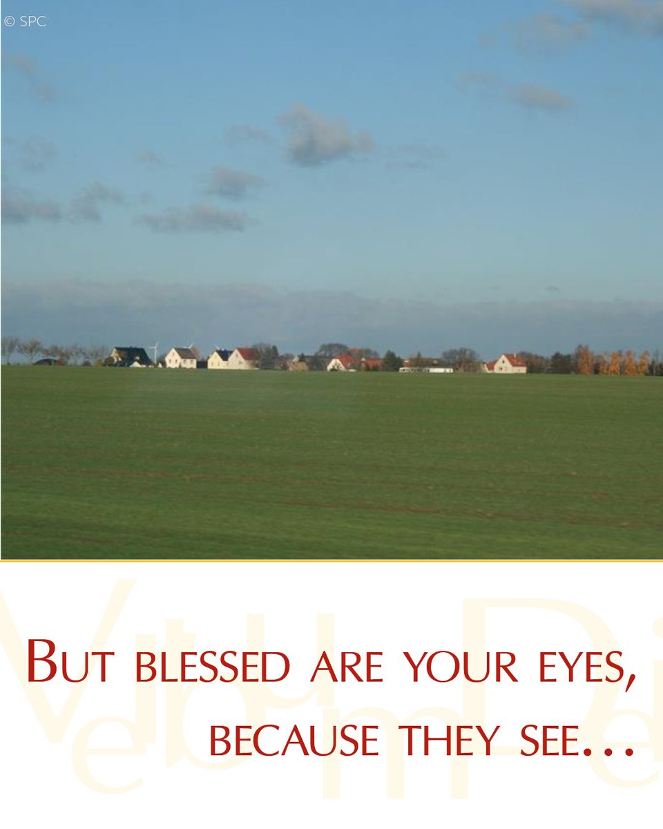 Gospel of the Day ( Matthew 13:10-17)

"This is why I speak to them in parables, because
they look but do not see and hear but do not listen or understand."