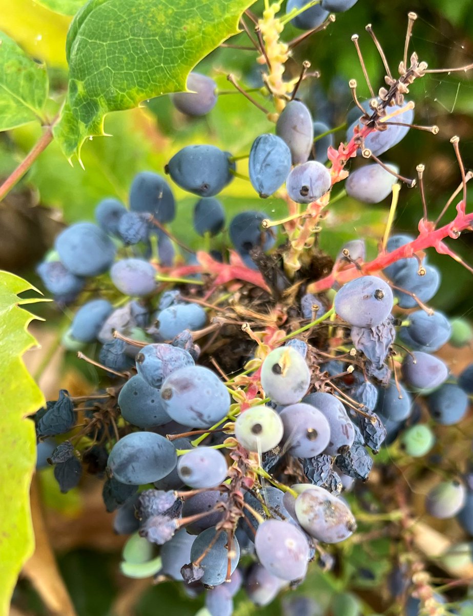 Goedemorgen beste TwiXers, een fijne dag toegewenst 😀👍