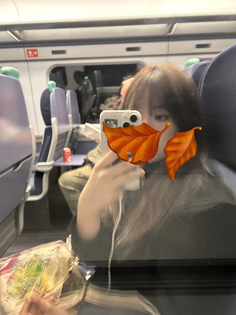appleroseyoon's tweet image. 흐린 날 기차여행 •• 🌫️