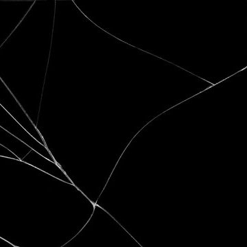 Eden————— 𝔖𝔥𝔞𝔡𝔬𝔴 1-3 tweet media