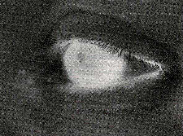 Machine_Civ's tweet image. “What is ‘Race’? That which expresses itself in active life and Being – to have Race.” ~ Oswald Spengler