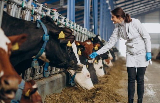 LucaMuller93287's tweet photo. Enhance your dairy operations with Cattle Care’s software for parlor efficiency. Monitor protocols, improve cow welfare, and maximize productivity. Join 147 satisfied clients today.
https://t.co/yh5G6mwZSP

#DairyFarming #ParlorEfficiency #CowWelfare #CattleCare https://t.co/Is3A4FPONI