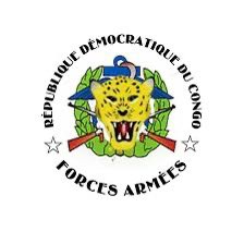 🇨🇩🇨🇩🇨🇩#RDC Une bonne formation, un bon équipement, pas des l'infiltration,touts  Generaux ou capitaine ... doivent être bien contrôler par la hiérarchie et une meilleure planification permettront aux #FARDC de s'améliorer considérablement.