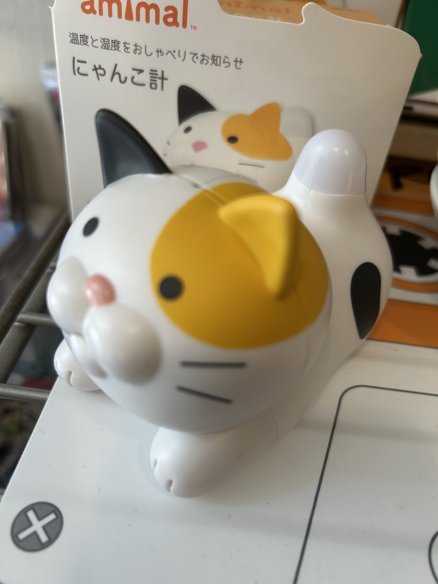 ハシートップイン【公式】🐥 (@HashyProduct) / X