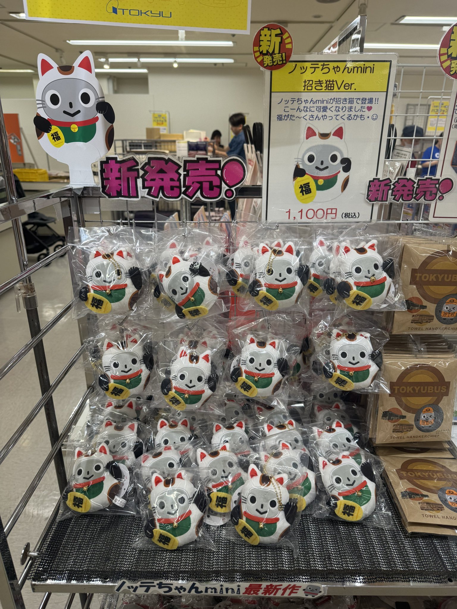 tm ♪土日発送お休み TBK土田 on X: 