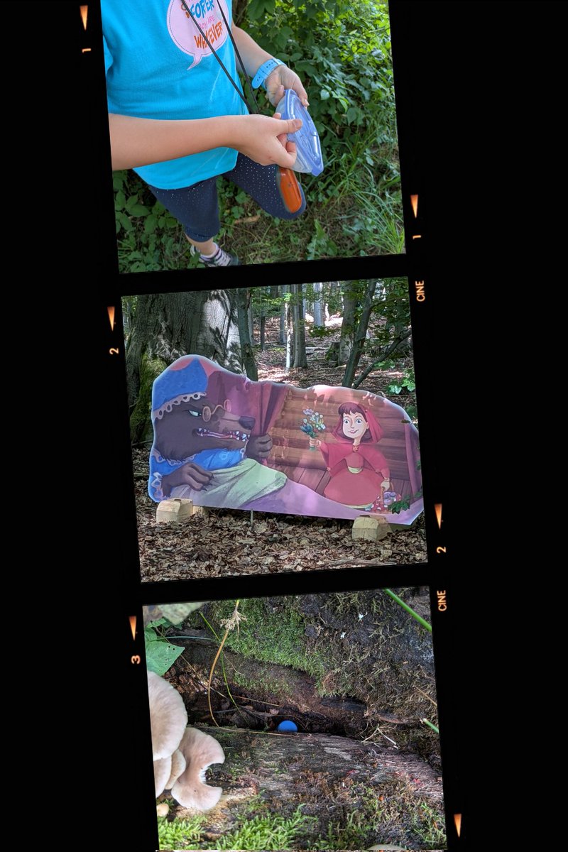 TeamHeSi's tweet image. Seit langem Mal wieder ein wenig Geocachen gewesen.
#geocaching #gogeocaching #geocachen #natur #wald #solling