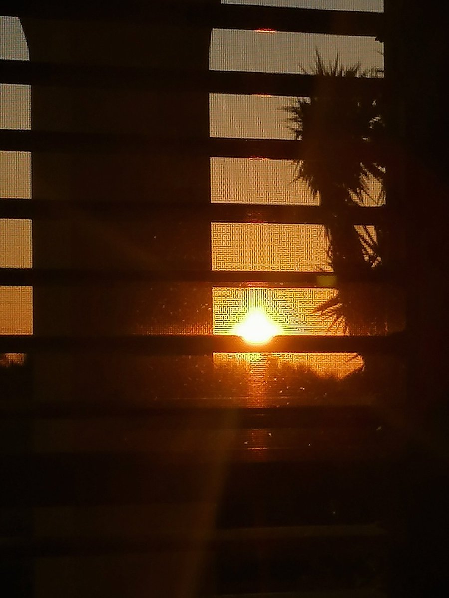 Rita Maria Nuzzone tweet media