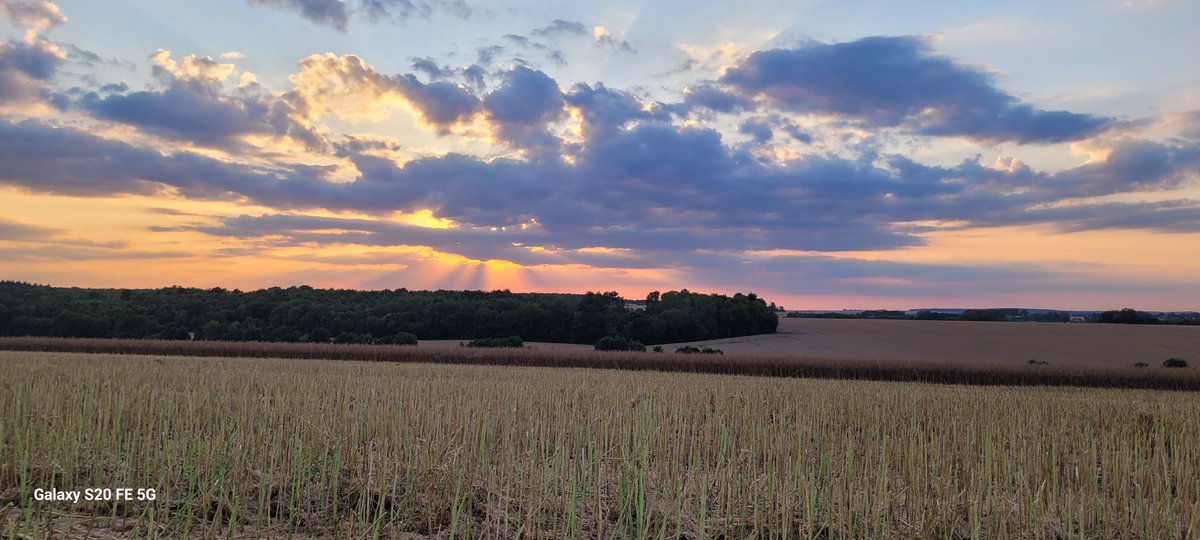 📸​[CONCOURS PHOTO – LUMIÈRES D’ÉTÉ SUR MA FERME ]

Photo N°11 : Éclat de lumière à Faverolles et à Villiers-sur-Fère
Les 10 juillet, Julien Besnier et Jean-Charles Guay nous offraient une scène spectaculaire de la moisson🌾
