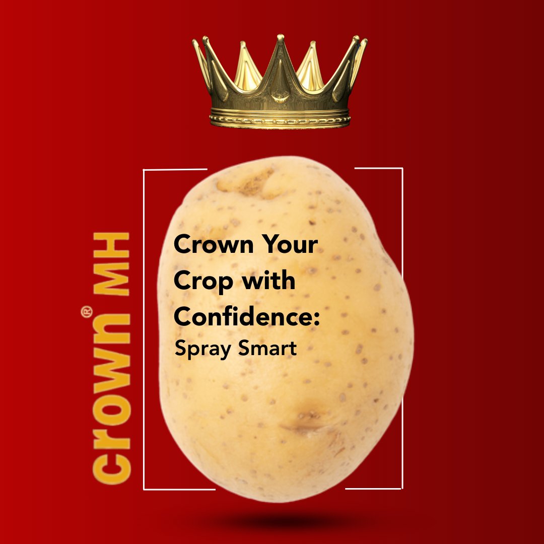 🥔 Maximise the power of Crown MH with precise application.

✔️ Non-foaming liquid
✔️ Fast loading, less downtime
✔️ Low operator exposure

Available in 20L &amp; 600L, fully Fastran 850 compatible.

#SproutSuppression #CropCare