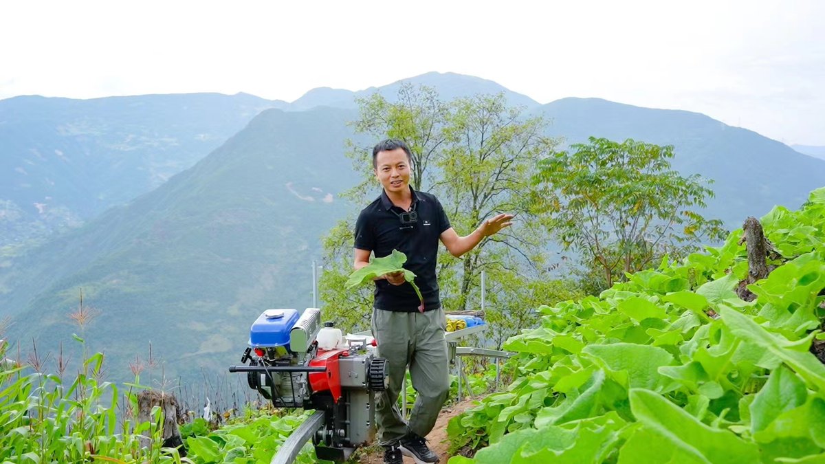 IFADAsia's tweet image. The steep mountains of Yunnan province are green with orchards that supply mangoes to shoppers. But getting the fruit to the valleys is not easy.  
In #China&apos;s Huaping County, a #monorail system is bridging the gap thanks to an @IFAD initiative. 

shorturl.at/Ohnb2