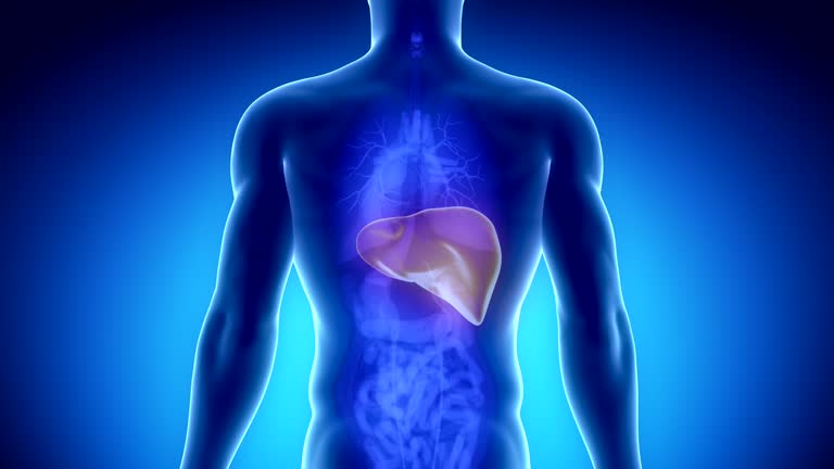 HydUniv's tweet image. Breaking Barriers in Regenerative Medicine: Hyderabad Startup Achieves Global First in Liver Failure Treatment
ASPIRE-BioNEST at UoH and Tulsi Therapeutics announce World’s First Successful Preclinical Trial of Stem Cell–Exosome Combination in Animal Model of Liver Failure
In a…