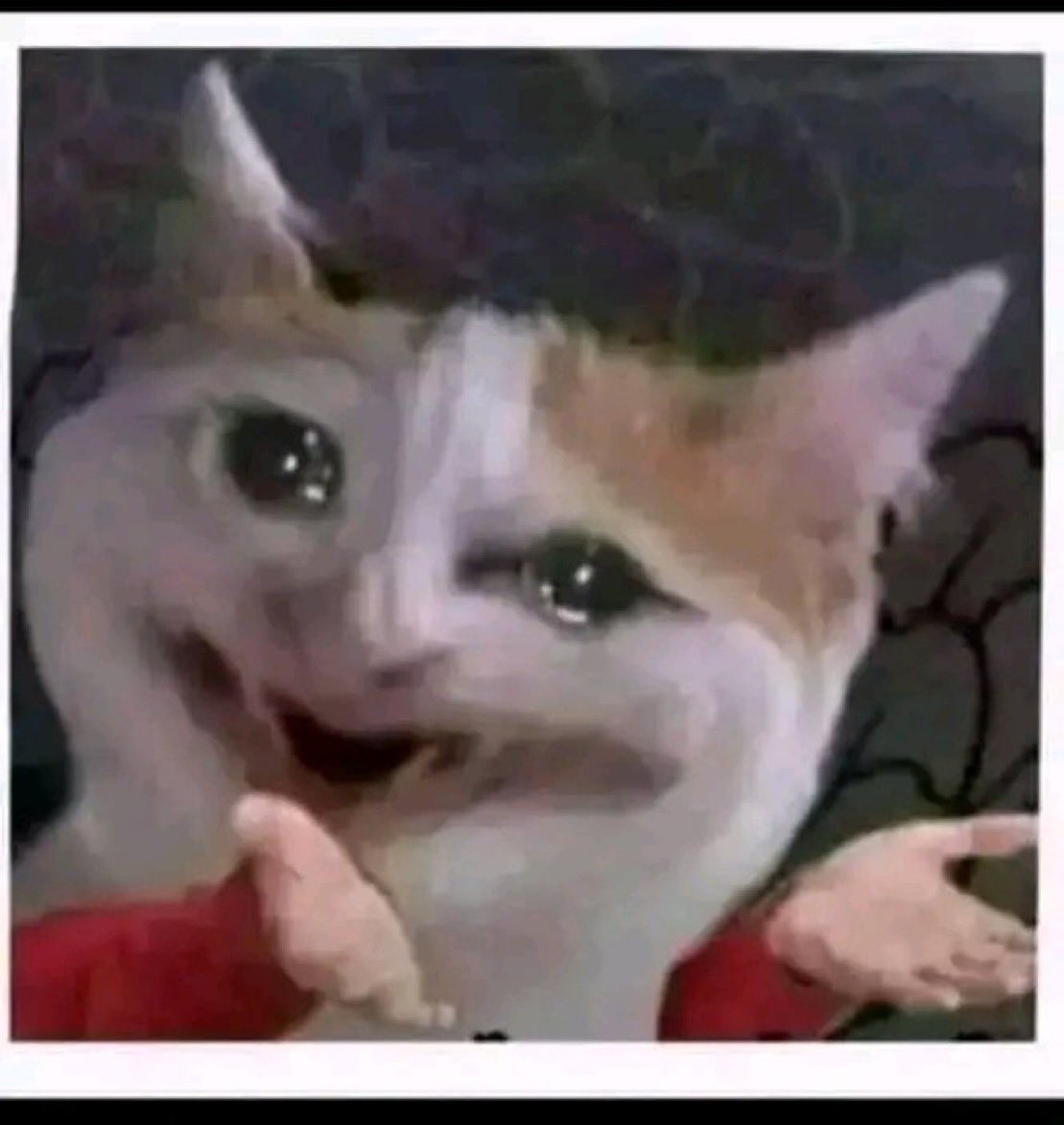 My face when someone says they’ve never heard of <a href="/AlloraNetwork/">Allora</a>’s decentralized AI