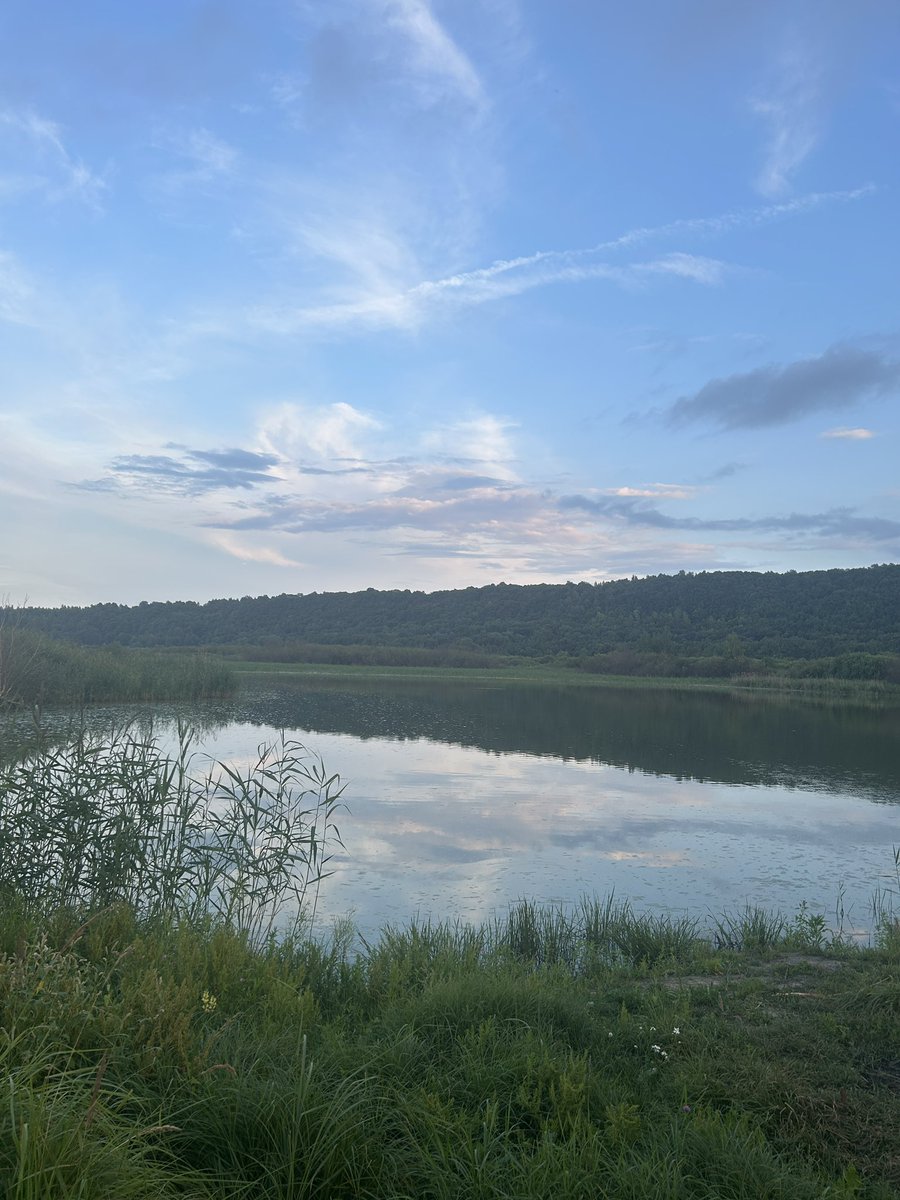 Я буду всю неделю писать как мне хорошо и как классно трогать траву