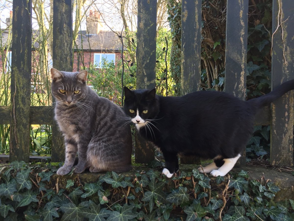Happy #throwbackthursday from Rufus and Rosie xx Taken Feb 2021. Looked like a nice day for February 😎